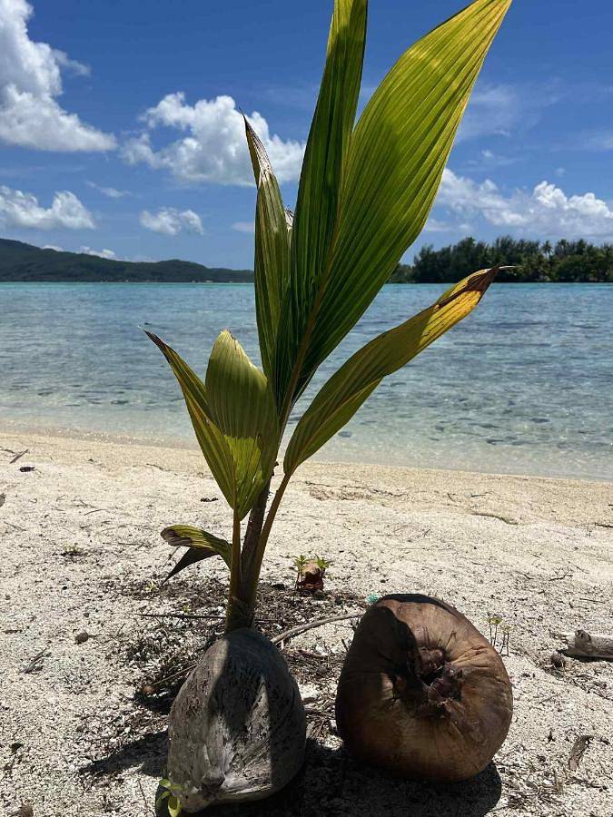 Camping pour 6 personnes