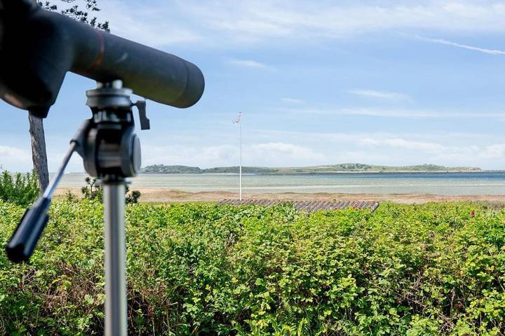 Renoviertes Ferienhaus mit einzigartiger Aussicht und Lage auf der Insel Fyn in Fyns Hoved, Martofte