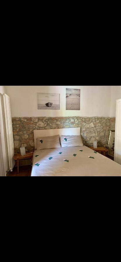 Chambre d’hôte pour 2 personnes, avec jardin ainsi que vue et terrasse, animaux acceptés à San Miniato - 4