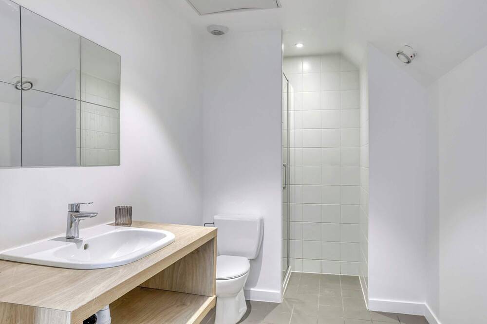 Ganze Wohnung, Grand Loft 45m2 50m Gare Annemasse in Annemasse, Saint-Julien-en-Genevois und Umgebung