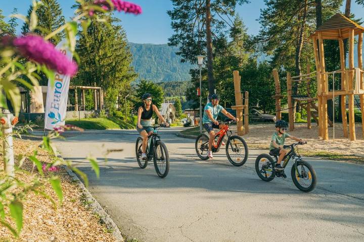 Ferienpark für 4 Personen, mit Kinderpool und Pool sowie Ausblick und Garten, mit Haustier in Kärnten - 3