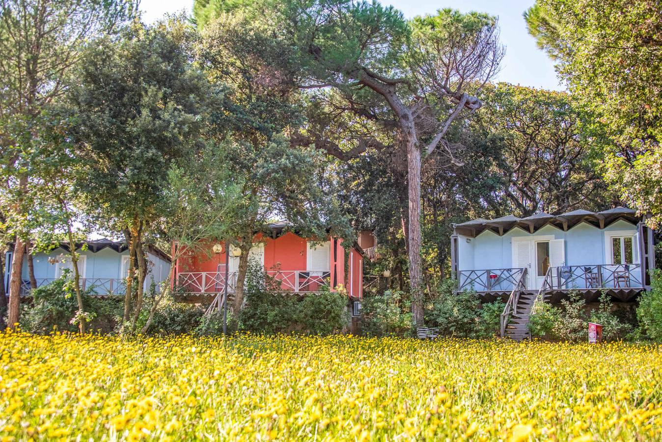 Villa con aria condizionata, piscina e terrazza  in San Vincenzo, Costa degli Etruschi
