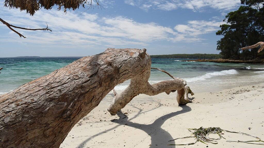 Ganze Wohnung, Boogaloo am Strand - 5% Rabatt für 7 Übernachtungen in Huskisson, Jervis Bay