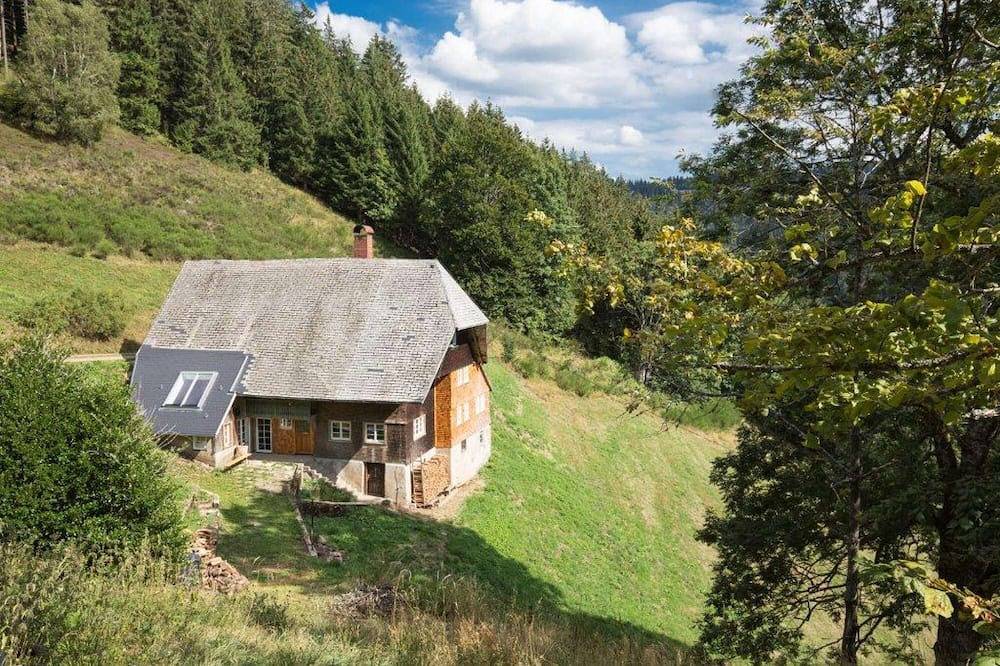 Ganze Wohnung, Fewo im Schwarzwaldhof Kaspershäusle: Alleinlage im Wald, renoviertes Denkmal, Wlan in St. Märgen, Südschwarzwald