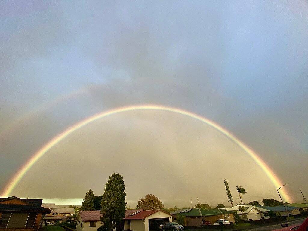 Zurück zum Leben erweckt, versteckt in einer der Hauptstraßen von Hilo. in Hilo, South Hilo