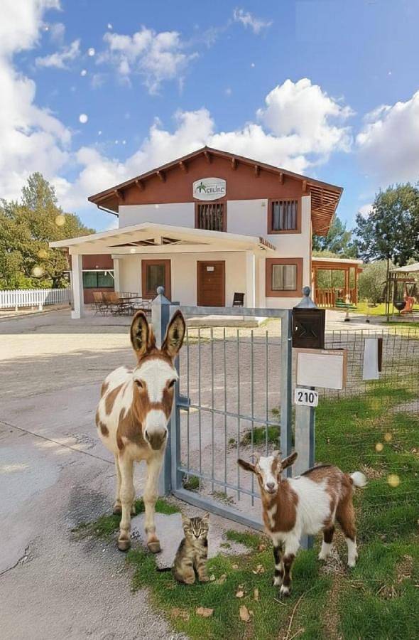 Chambre d’hôte pour 3 personnes, avec vue et jardin à Spoleto