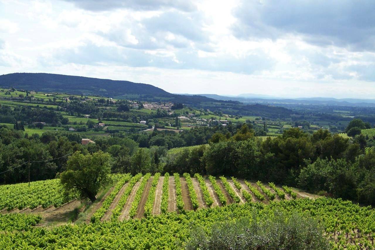 Gîte en provence au coeur des vignes in Villedieu, Vaucluse