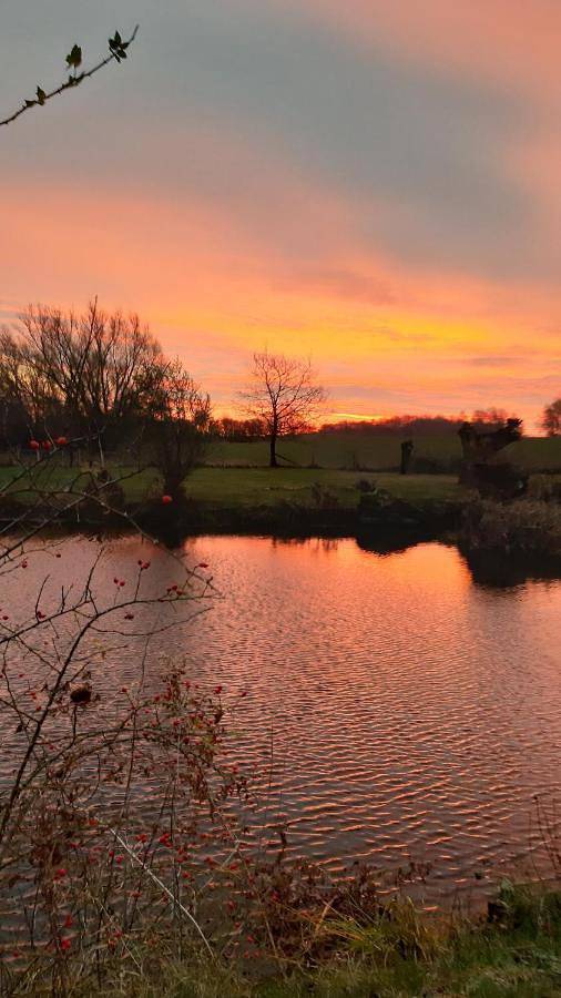 Ferienwohnung für 8 Personen, mit Ausblick und Garten sowie Sauna in Kalkhorst - 2