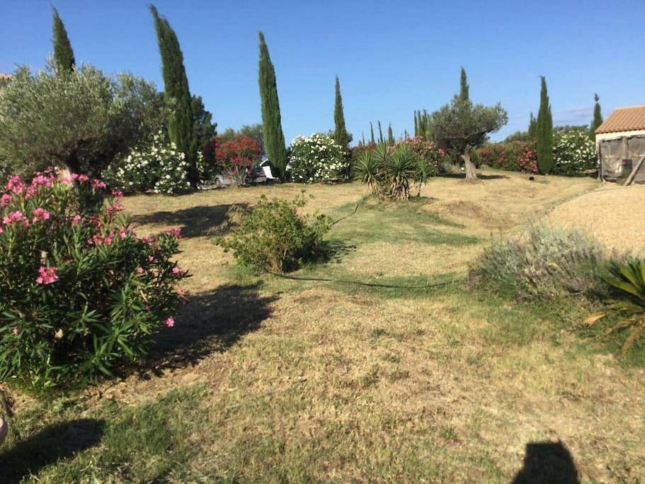 Villa with Private Pool in Perpignan, Côte méditerranéenne (France)