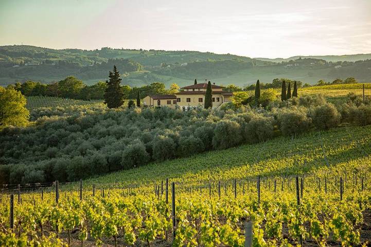 Holiday rental for 10 people, with garden and terrace, with pets in San Gimignano