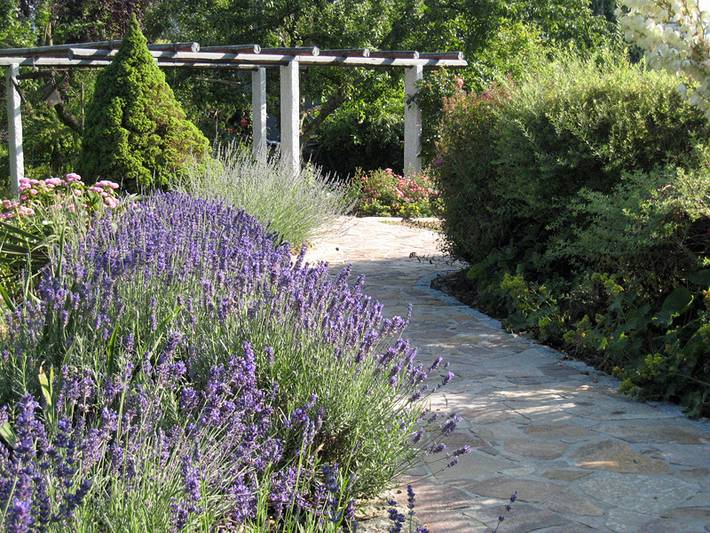 Gîte pour 4 personnes, avec piscine et jardin, adapté aux familles à Gaggenau - 3