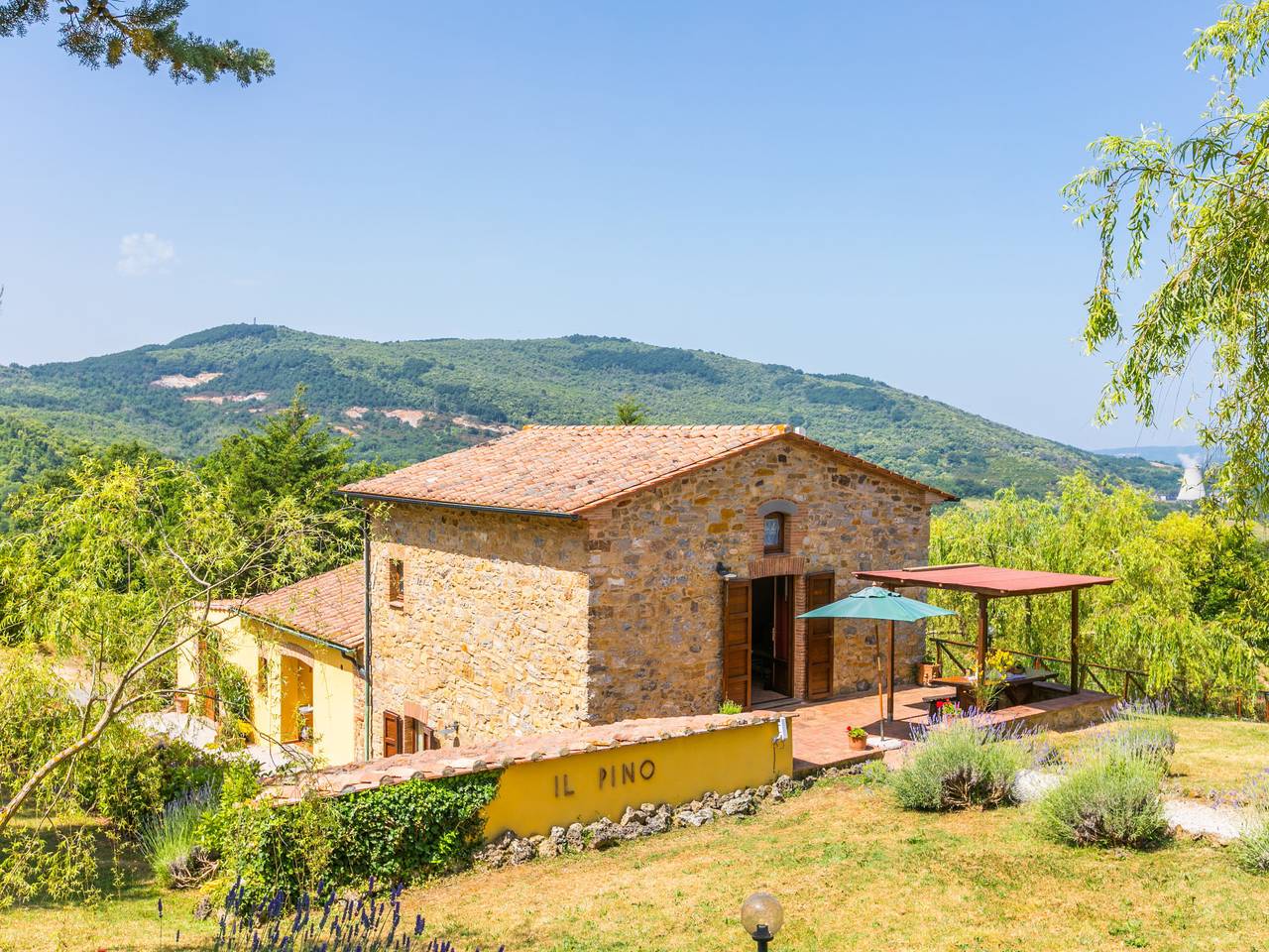 Pino di Sopra in Riserva Naturale di Monterufoli