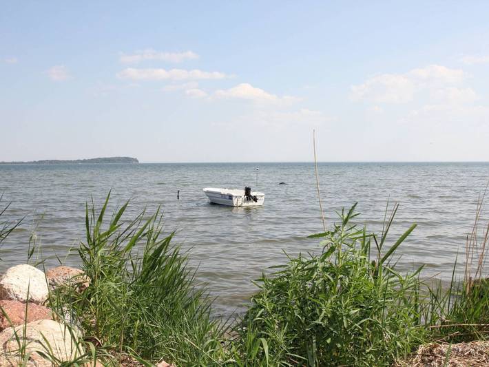 Ferienhaus für 8 Personen, mit Terrasse und Garten, kinderfreundlich in Putbus - 3