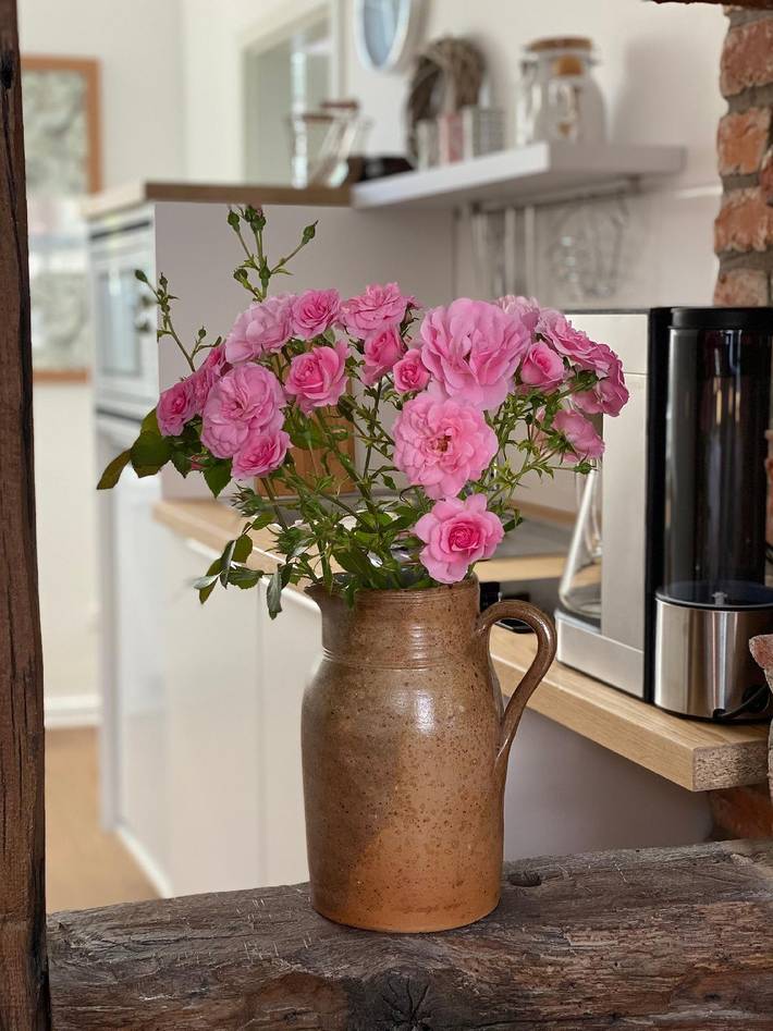 Ferienwohnung für 4 Personen, mit Garten in Hameln - 3