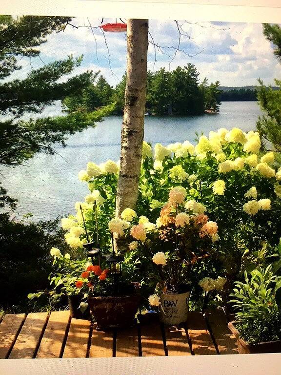 Cabin Rentals And Lodges for 4 Guests in Algonquin Provincial Park