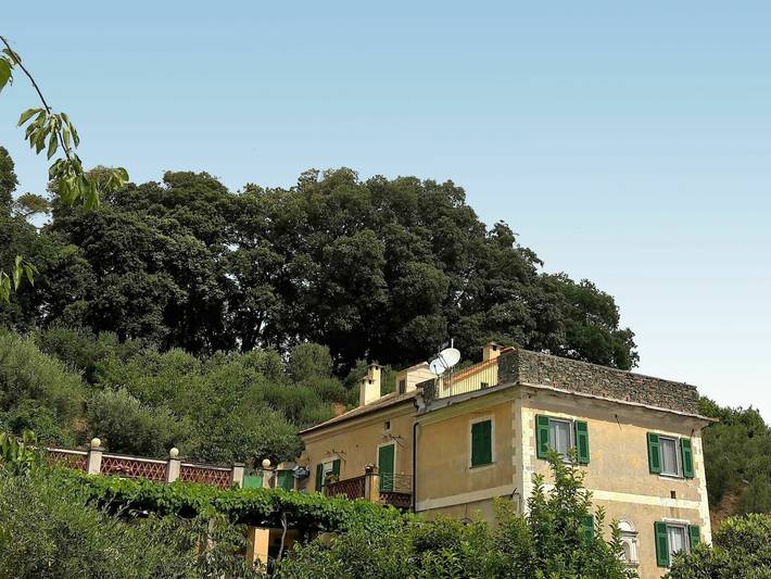 Ganze Wohnung, Casa del Poggio - Casa del Poggio 100.1 in Sanda (Celle Ligure), Celle Ligure