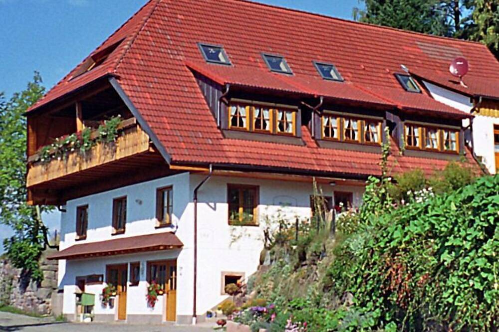 Ganze Wohnung, Rotkehlchen in Schiltach, Mittlerer Schwarzwald