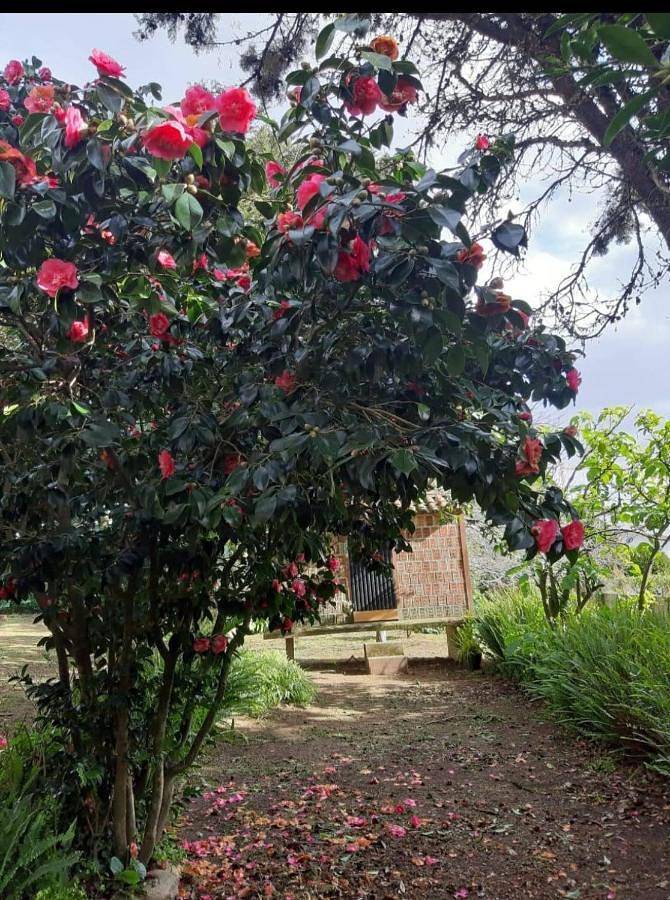 Casa Tina in Camposancos (A Guarda), A Guarda