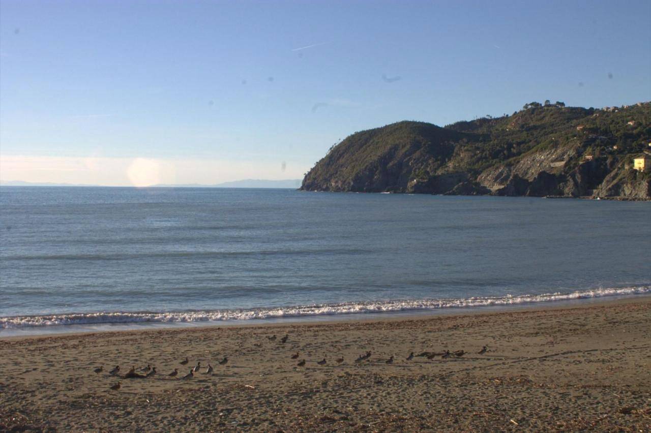 Affittacamere Levantomare in Levanto, Commune de Levanto