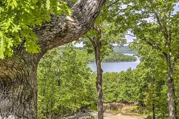Log Cabin for 14 Guests in Beaver Lake, Carroll County (AR), Picture 2
