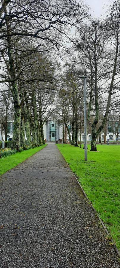 Maison d’hôte pour 3 personnes, avec terrasse et jardin à Galway - 3