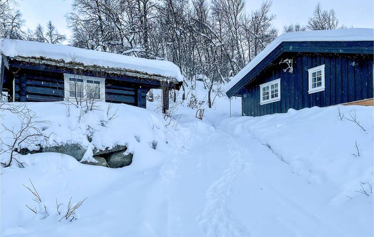 Ferienhaus für 10 Personen, mit Terrasse in Hemsedal - 4