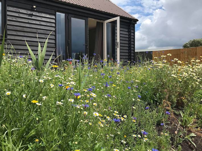 Cottage for 4 people, with garden, with pets in Cambridgeshire