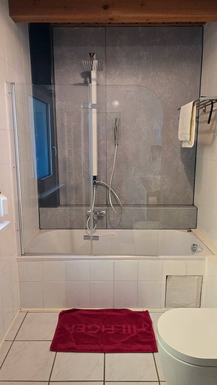 Ganze Wohnung, Modern eingerichtete Ferienwohnung Casa Karin mit Terrasse, Garten und Sauna in Bodman-Ludwigshafen, Landkreis Konstanz