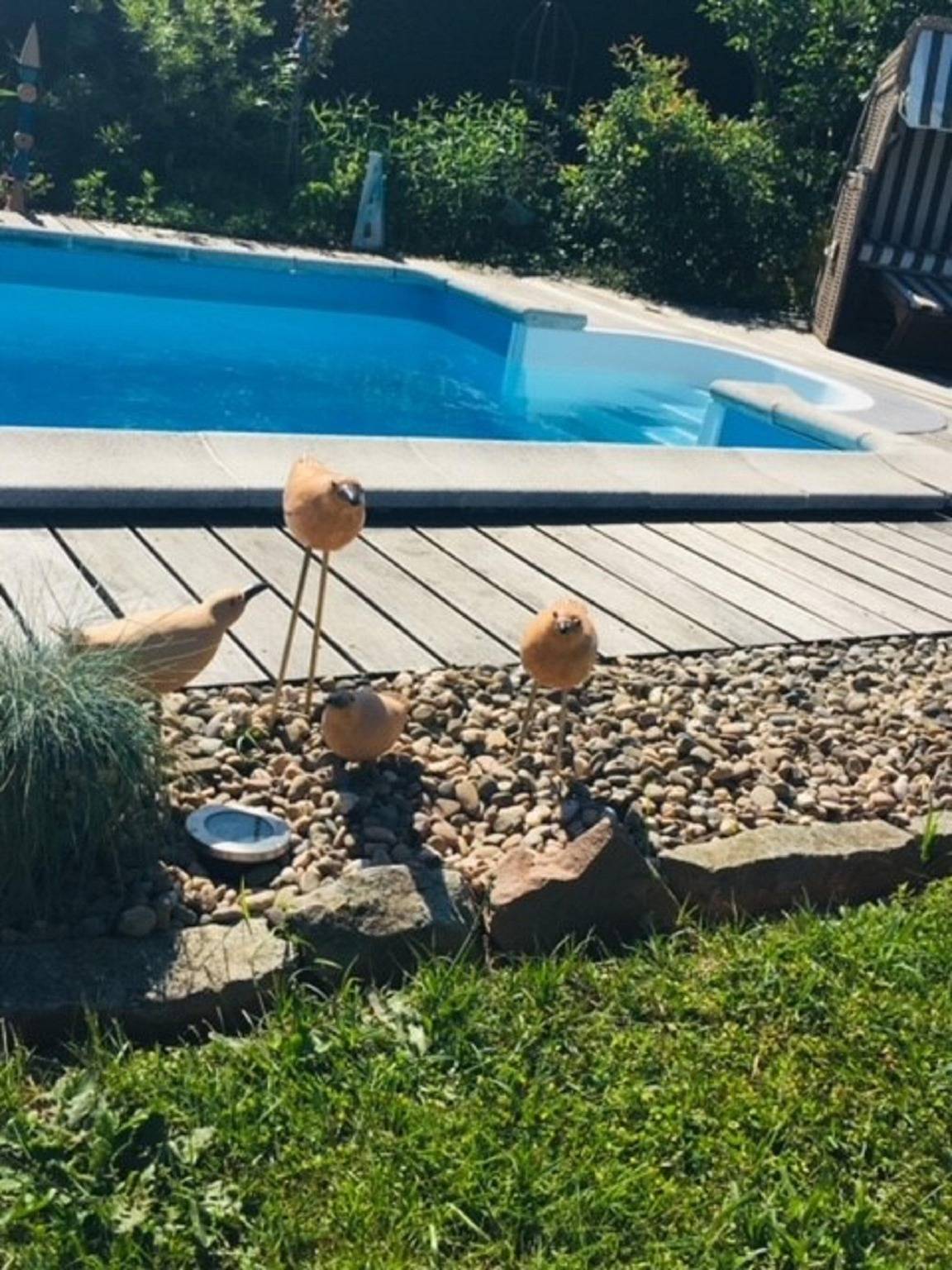 Ganze Ferienwohnung, Ferienwohnung Molter in Oberthal, Saar-Nahe-Bergland