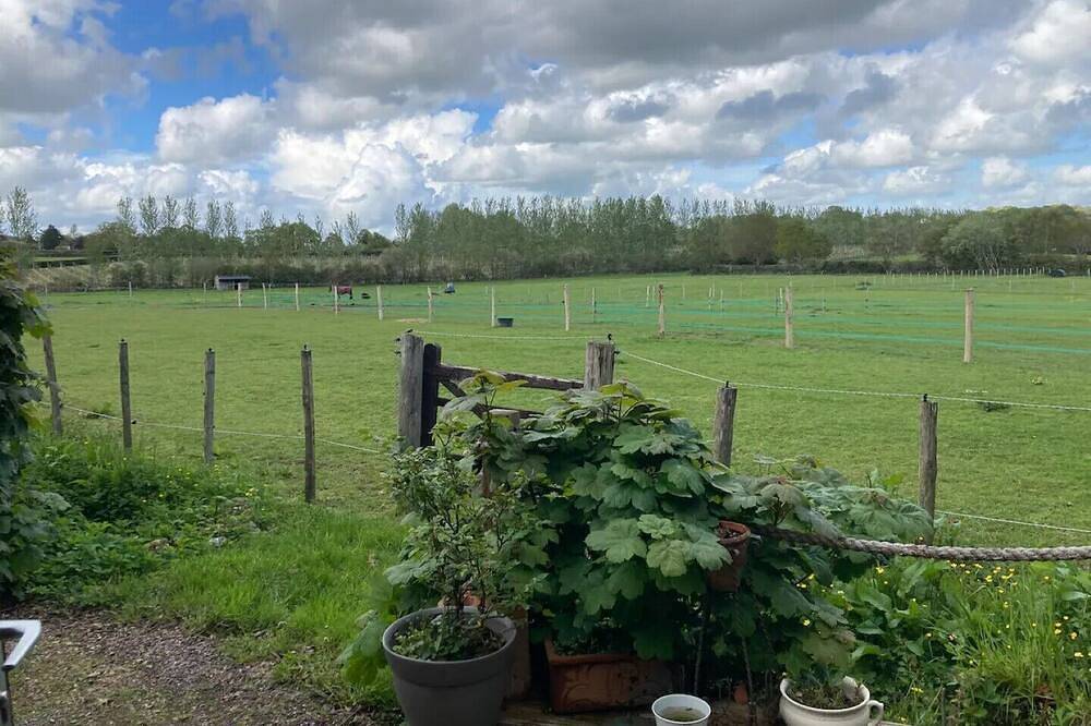Private Quiet Cabin, overlooking Paddocks Vineyards and Pine Forest in Westfield, East Sussex