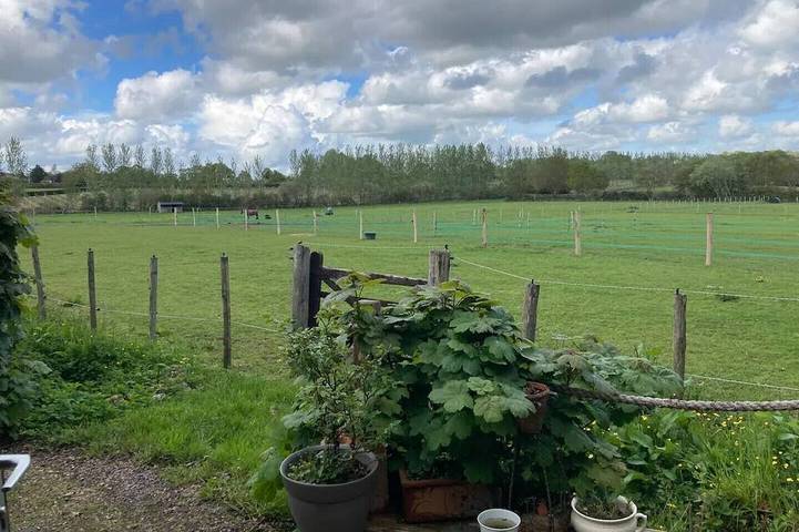 Private Quiet Cabin, overlooking Paddocks Vineyards and Pine Forest in Westfield, Sussex Oriental