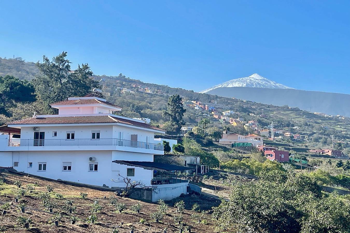 Geheel appartement, Vakantiewoning 'Finca Ten Days - App 2 - Punta De Teno' met zeezicht, wifi en airconditioning in El Sauce, La Orotava