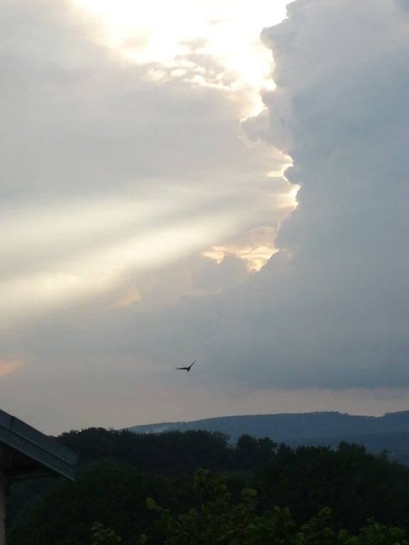 Chambre d’hôte pour 2 personnes, avec jardin dans les Vosges - 4