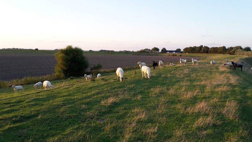 Ferienhaus für 8 Personen, mit Garten und Ausblick sowie Terrasse, kinderfreundlich in Poppenbüll - 3