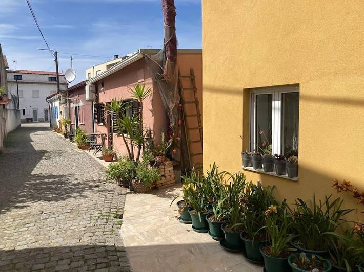 Location de vacances pour 4 personnes, animaux acceptés à Apúlia - 4