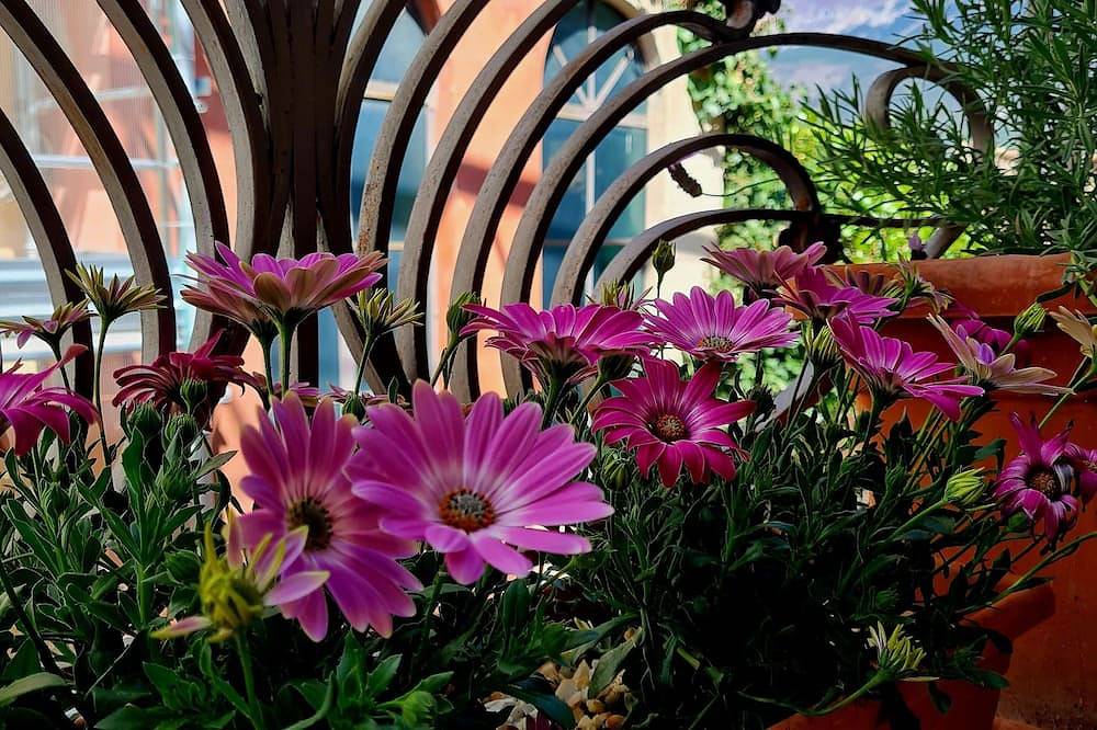 Ganze Wohnung, Anna's Holiday House, practical apartment with all amenities, with pets allowed. in Pratola Peligna, L'Aquila Provinz