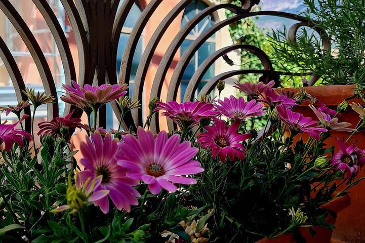 Ganze Wohnung, Anna's Holiday House, practical apartment with all amenities, with pets allowed. in Pratola Peligna, L'Aquila Provinz