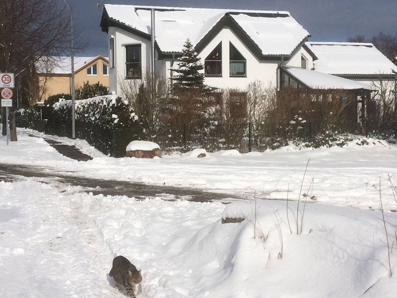 Ganze Ferienwohnung, Ferienwohnung Greifzu Pröger - Ferienwohnung Greifzu in Greifswald, Vorpommern Greifswald