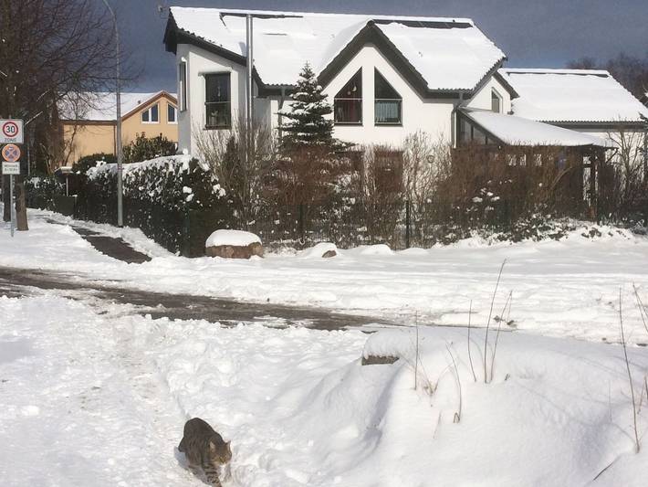 Ferienwohnung für 4 Personen, mit Garten, kinderfreundlich in Greifswald