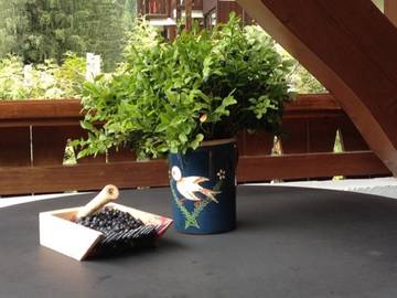 Apartment for 5 People in Les Grandes Montets, Chamonix-Mont-Blanc, Photo 4