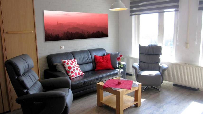 Gîte pour 14 personnes, avec jacuzzi ainsi que jardin et sauna dans Noorbeek - 3