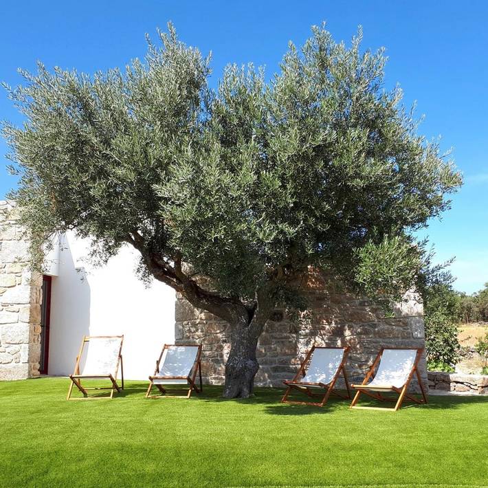 Casa rural para 2 personas, con jardín además de piscina y terraza en Miranda do Douro - 3