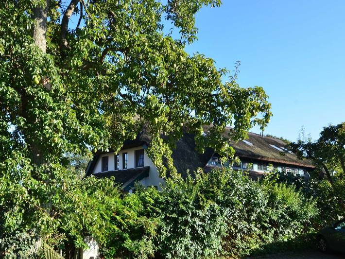 Ferienwohnung für 9 Personen, mit Garten, kinderfreundlich in Groß Zicker - 2