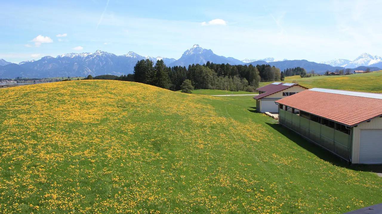 Ganze Ferienwohnung, Ferienwohnung für 5 Personen (70 m²) in Hopferau in Hopferau, Bayerisch Schwaben