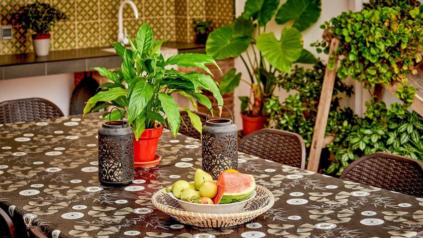 Casa rural para 8 personas, con piscina y balcón/terraza, Se admiten mascotas en Sierra Mágina - 4