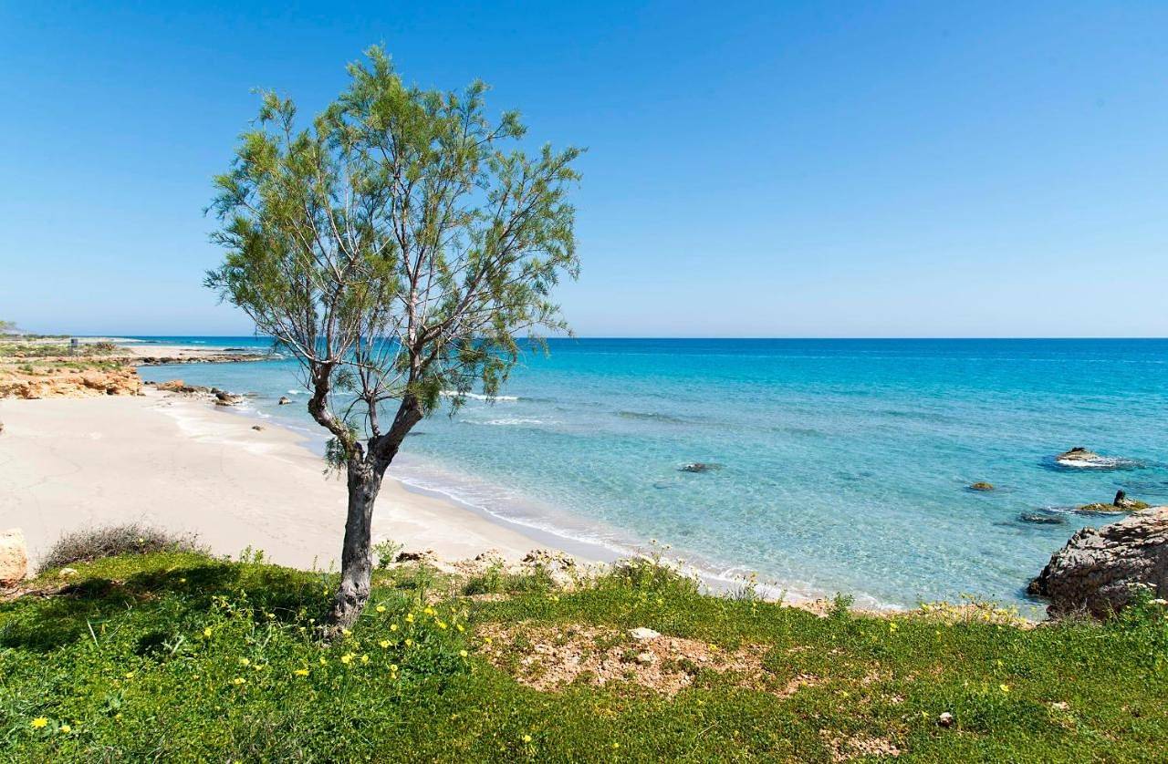 Appartement entier, Coastal Charm-Getaway to Artichoke's Seaside Oasis in Région de Lassithi