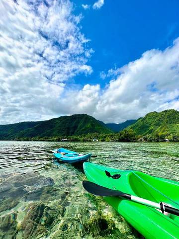 Gîte pour 6 personnes, avec jardin et vue dans Teahupo'o