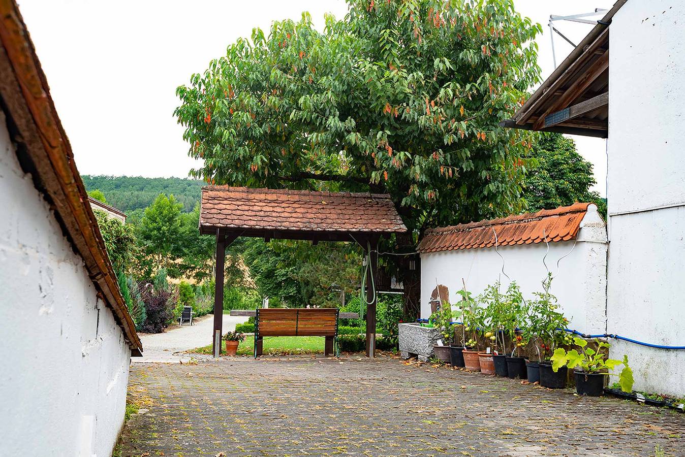 Ganze Wohnung, Ferienwohnung Nesselbachtal - Gemütliche Ferienwohnung mit Garten und Pavillion in Neustadt an der Aisch, Steigerwald