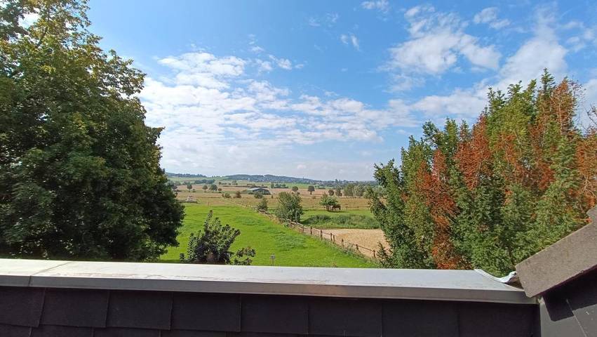 Ferienwohnung für 7 Personen, mit Ausblick und Terrasse - 1