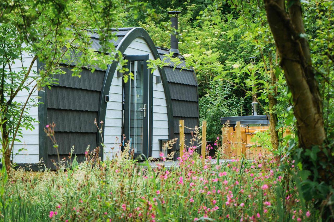 Deluxe Double Studio in Flintshire